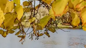 Jesienny Kętrzyn, październik 2022 - zdjęcie 7