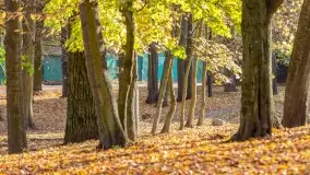 Jesienny Kętrzyn, październik 2022 - zdjęcie 11