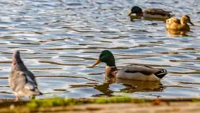 Jesienny Kętrzyn, październik 2022 - zdjęcie 28