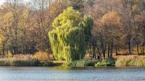 Jesienny Kętrzyn, październik 2022 - zdjęcie 44