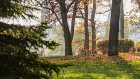 Jesienny Kętrzyn, październik 2022 - zdjęcie 52