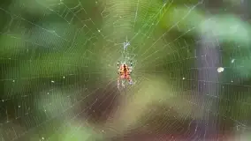 Mazury i grzyby... piękne połączenie - zdjęcie 15