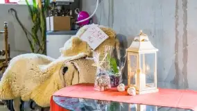 Fotorelacja - I Redyk Mazurski, Sołdany 2022 - zdjęcie 25