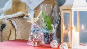 Fotorelacja - I Redyk Mazurski, Sołdany 2022 - zdjęcie 6