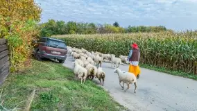 Fotorelacja - I Redyk Mazurski, Sołdany 2022 - zdjęcie 1