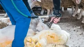 Fotorelacja - I Redyk Mazurski, Sołdany 2022 - zdjęcie 15