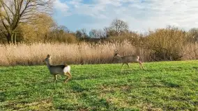 Końcówka zimy 2021, zdjęcia z drona - zdjęcie 11