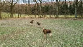 Końcówka zimy 2021, zdjęcia z drona - zdjęcie 29