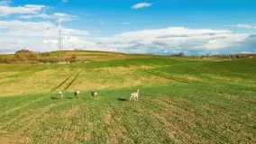 Końcówka zimy 2021, zdjęcia z drona - zdjęcie 28