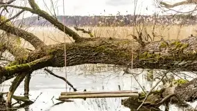 Przedwiośnie na mazurskich polach i łąkach, marzec 2021 - zdjęcie 20