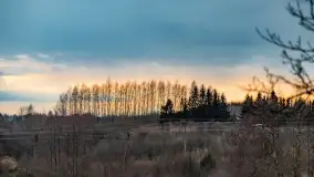 Przedwiośnie na mazurskich polach i łąkach, marzec 2021 - zdjęcie 7