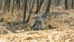 Przedwiośnie na mazurskich polach i łąkach, marzec 2021 - zdjęcie 30