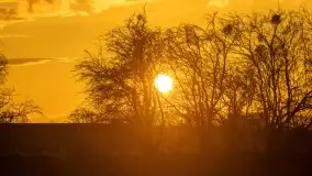 Przedwiośnie na mazurskich polach i łąkach, marzec 2021 - zdjęcie 46