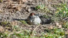 Początki wiosny 2022, leśne krajobrazy - zdjęcie 54