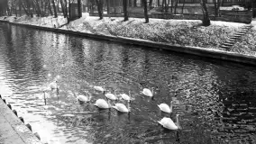 Cień historii, czasy PRL (1945-1989) - Giżycko - zdjęcie 70