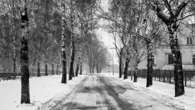 Cień historii, czasy PRL (1945-1989) - Giżycko - zdjęcie 181