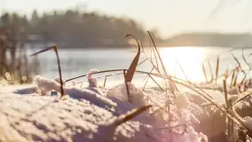 Stranda w pięknej, grudniowej i zimowej scenerii - zdjęcie 30