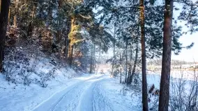 Zimowe okolice Szczytna na zdjęciach Marty Sotnik - zdjęcie 12