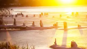 Zimowe okolice Szczytna na zdjęciach Marty Sotnik - zdjęcie 3