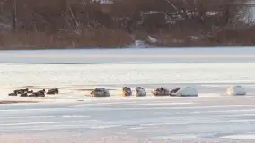 Zimowe okolice Szczytna na zdjęciach Marty Sotnik - zdjęcie 13