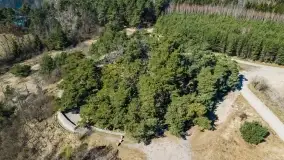 Cmentarz wojenny Jagerhohe i jezioro Święcajty na początku wiosny, 2022 - zdjęcie 23