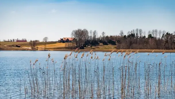 Cmentarz wojenny Jagerhohe i jezioro Święcajty na początku wiosny, 2022 - zdjęcie 5