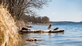 Cmentarz wojenny Jagerhohe i jezioro Święcajty na początku wiosny, 2022 - zdjęcie 10