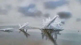 Bajkowe i zimowe klimaty nad jeziorem Dargin, grudzień 2022 - zdjęcie 16