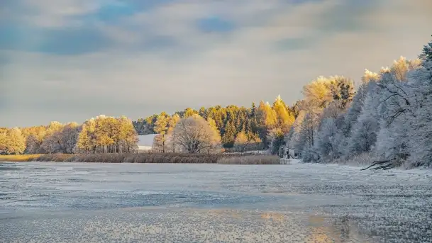 Bajkowe i zimowe klimaty nad jeziorem Dargin, grudzień 2022 - zdjęcie 4