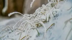 Bajkowe i zimowe klimaty nad jeziorem Dargin, grudzień 2022 - zdjęcie 40