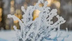 Bajkowe i zimowe klimaty nad jeziorem Dargin, grudzień 2022 - zdjęcie 13