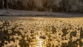 Bajkowe i zimowe klimaty nad jeziorem Dargin, grudzień 2022 - zdjęcie 34