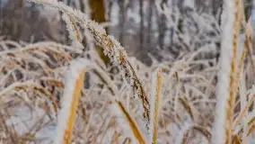 Bajkowe i zimowe klimaty nad jeziorem Dargin, grudzień 2022 - zdjęcie 26