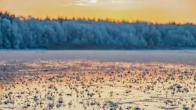 Bajkowe i zimowe klimaty nad jeziorem Dargin, grudzień 2022 - zdjęcie 56