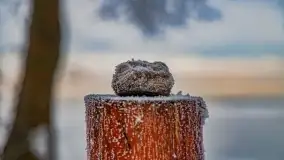 Bajkowe klimaty z zameldowaniem na łonie natury - zdjęcie 41