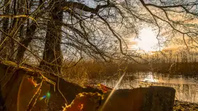 Zima już bez śniegu w Trygorcie, końcówka 2022 roku - zdjęcie 6