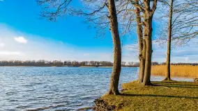 Zima już bez śniegu w Trygorcie, końcówka 2022 roku - zdjęcie 2