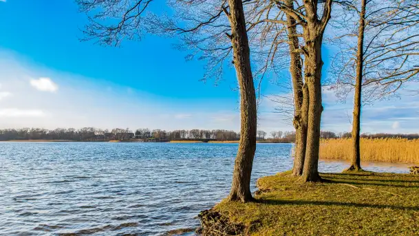 Zima już bez śniegu w Trygorcie, końcówka 2022 roku - zdjęcie 2