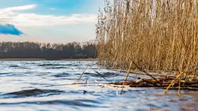 Zima już bez śniegu w Trygorcie, końcówka 2022 roku - zdjęcie 7