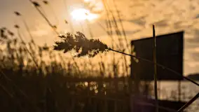 Zima już bez śniegu w Trygorcie, końcówka 2022 roku - zdjęcie 12