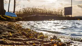 Zima już bez śniegu w Trygorcie, końcówka 2022 roku - zdjęcie 15