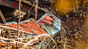 Zima już bez śniegu w Trygorcie, końcówka 2022 roku - zdjęcie 30