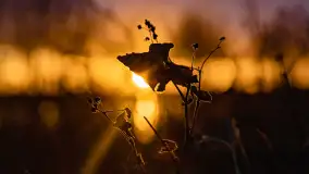 Grudniowy zachód słońca nad jeziorem Łabap - zdjęcie 6