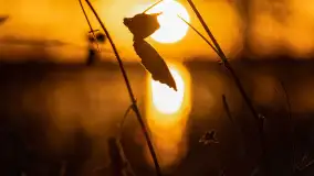 Grudniowy zachód słońca nad jeziorem Łabap - zdjęcie 21