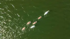 Letnie Mazury z drona, sezon 2022 - zdjęcie 5