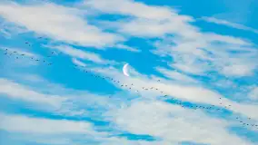 Wschód słońca nad jeziorem Śniardwy, Krzywy Róg - zdjęcie 4