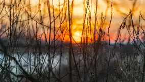 Wschód słońca nad jeziorem Śniardwy, Krzywy Róg - zdjęcie 27