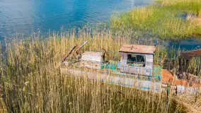 Wiosenny mix ujęć, kwiecień - czerwiec 2022 r. - zdjęcie 14