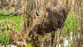 Wiosenny mix ujęć, kwiecień - czerwiec 2022 r. - zdjęcie 90