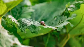 Wiosenny mix ujęć, kwiecień - czerwiec 2022 r. - zdjęcie 64